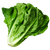 Зелень