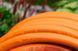 Шланг садовий Tecnotubi Orange Professional для поливу діаметр 1/2 дюйма, довжина 15 м (OR 1/2 15) 430 фото 4