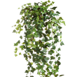 Ліани