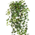Ліани