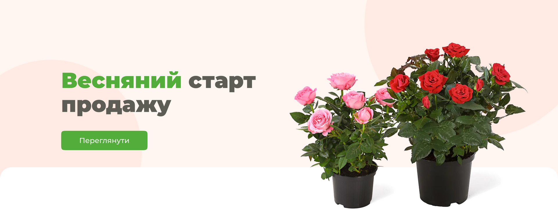 Banner from design
