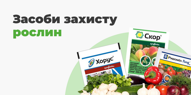 Banner from design