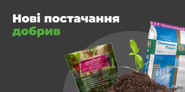 Banner from design